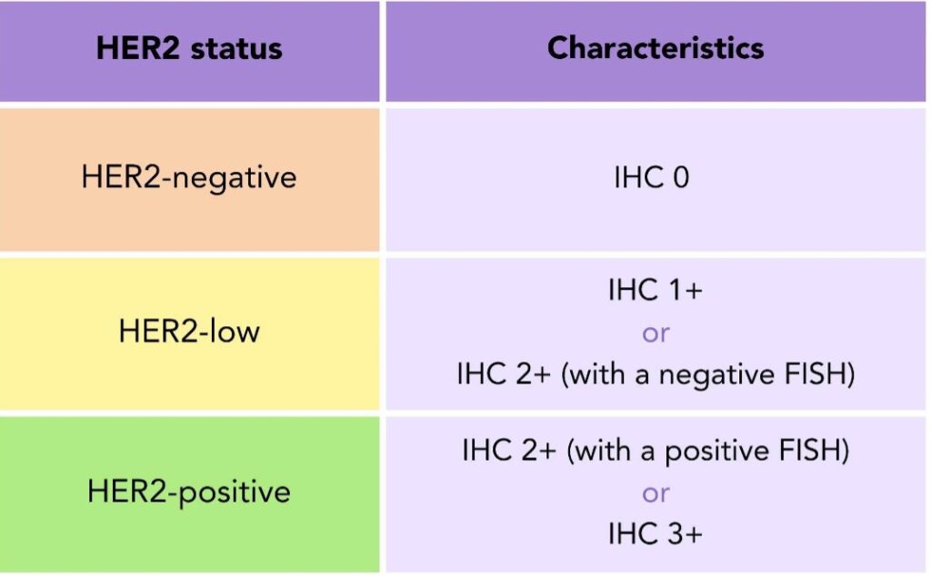 HER2 status and characteristics for breast cancer cells