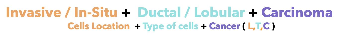 Invasive / In-Situ + Ductal / Lobular + Carcinoma (Cells location + Type of cells + Cancer (L,T,C))