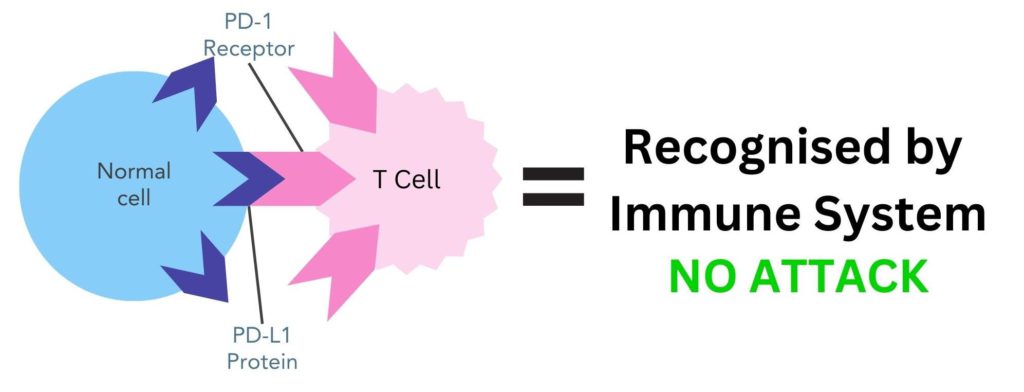 The immune system recognizing the body's cells