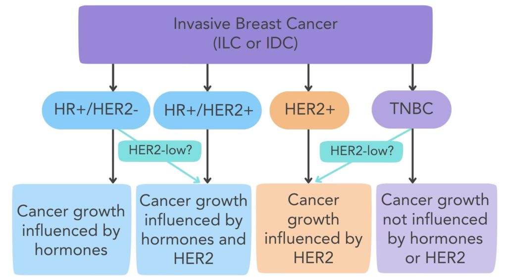 Subtypes of breast cancer