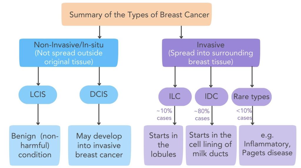 A summary of the types of breast cancer